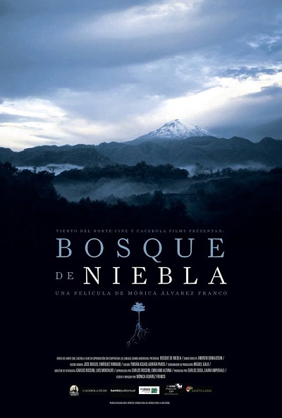 Póster de Bosque de niebla