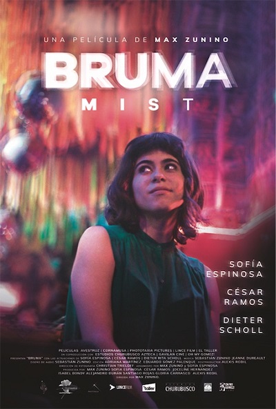 Póster de Bruma