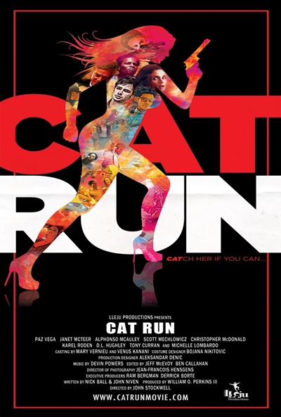 Póster de Cat Run