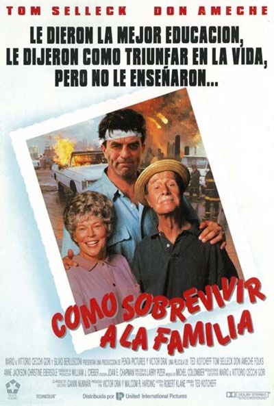 Póster de Cómo sobrevivir a la familia