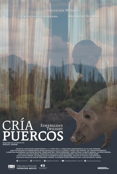 Póster de Cría puercos