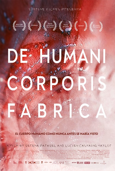 Póster de De humani corporis fabrica