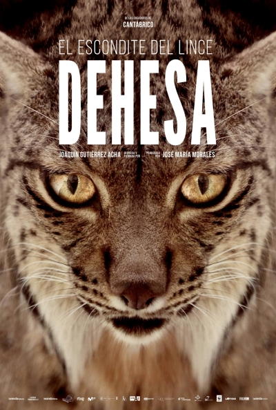 Póster de Dehesa, el escondite del lince ibérico