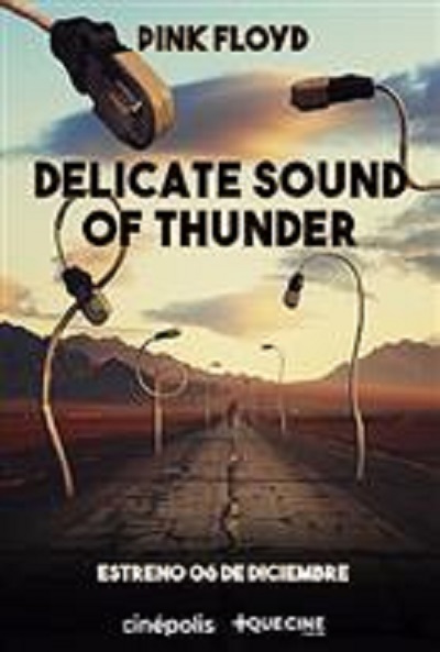 Póster de Pink Floyd: Delicate sound of thunder