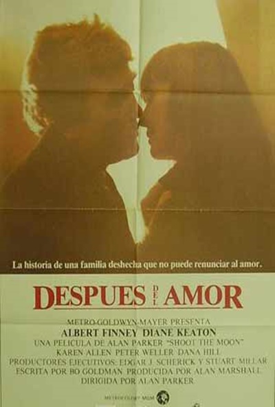 Póster de Después del amor