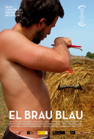 Póster de El brau blau