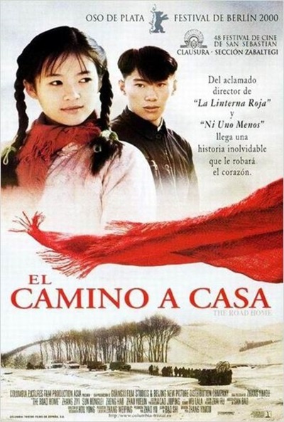 Póster de El camino a casa