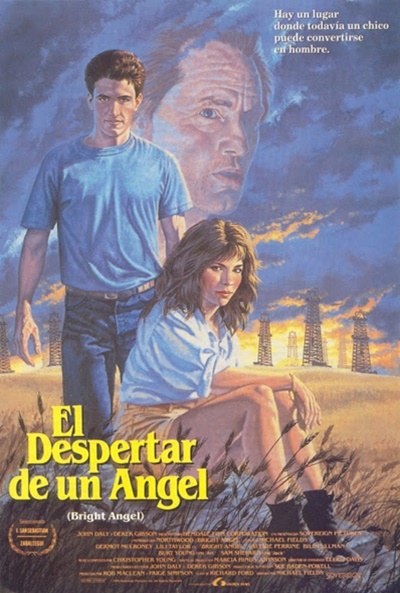 Póster de El despertar de un ángel