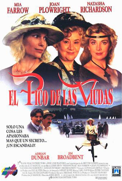 Póster de El pico de las viudas