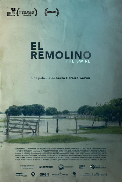 Póster de El remolino