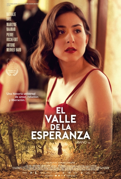 Póster de El valle de la esperanza