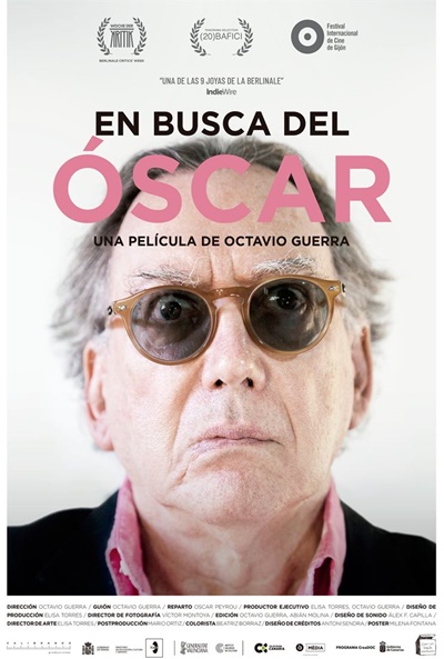 Póster de En busca del Óscar