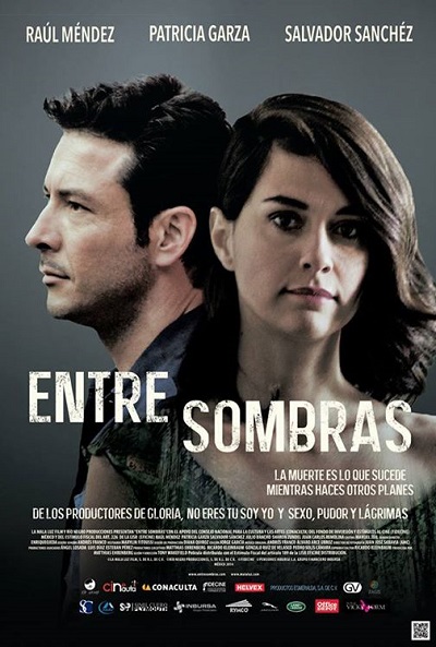 Póster de Entre sombras