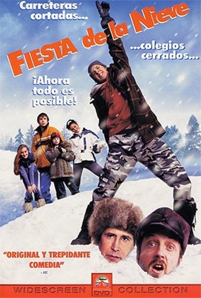 Póster de Fiesta de la nieve