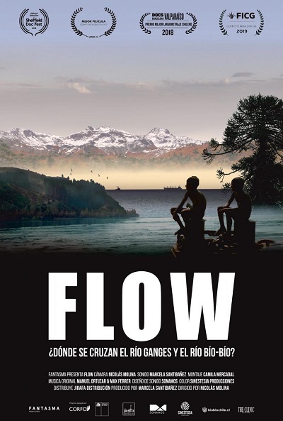 Póster de Flow