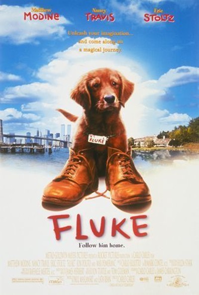 Póster de Fluke