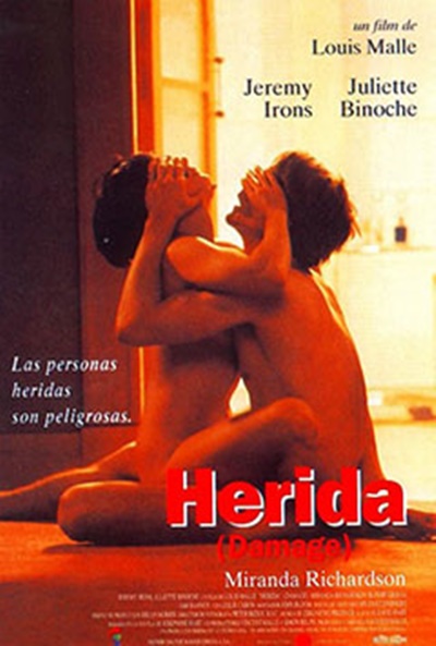 Póster de Herida