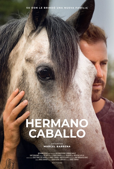 Póster de Hermano caballo