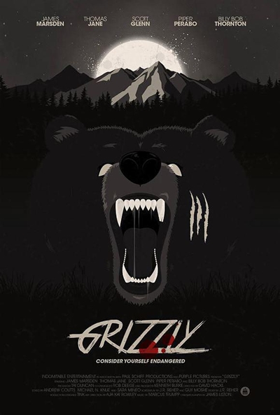 Póster de Into the Grizzly Maze