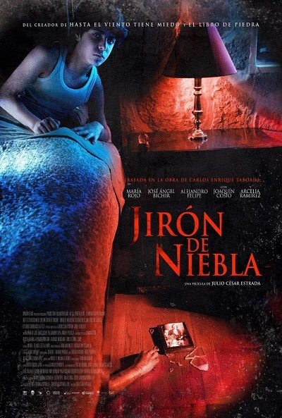 Póster de Jirón de niebla