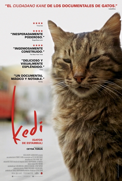 Póster de Kedi (Gatos de Estambul)