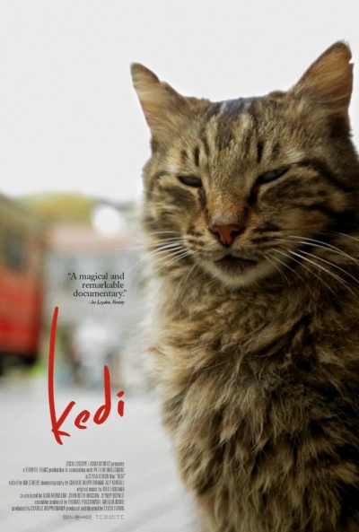 Póster de Kedi (Gatos de Estambul)