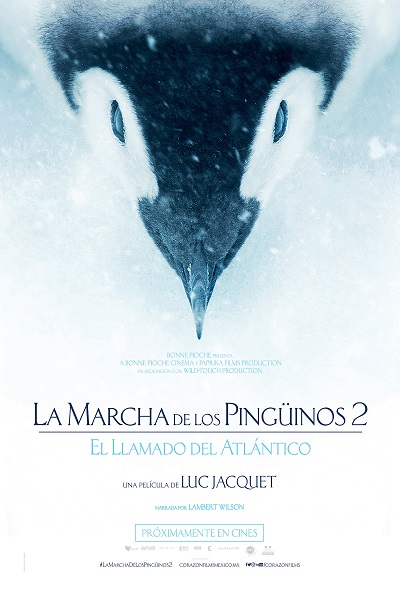 Póster de La marcha de los pingüinos 2: El llamado del Atlántico