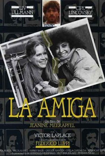 Póster de La amiga