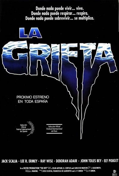 Póster de La grieta