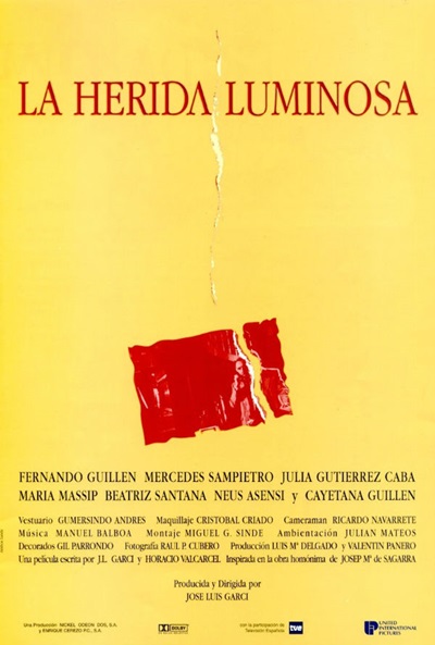 Póster de La herida luminosa