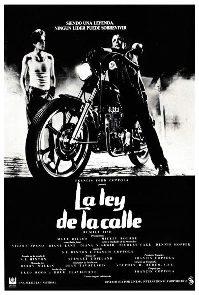 Póster de La ley de la calle