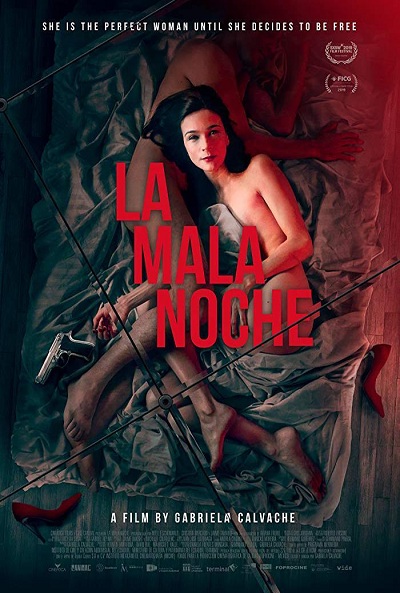 Póster de La mala noche