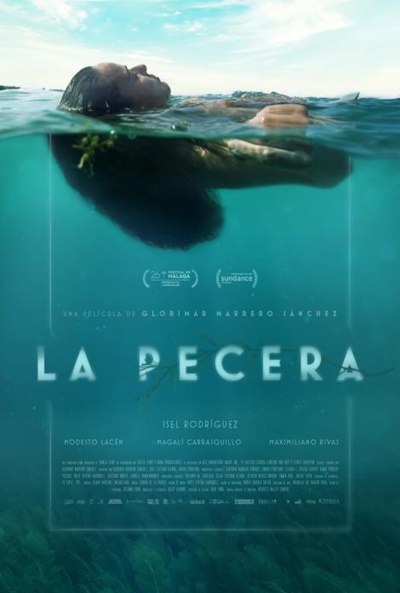 Póster de La pecera