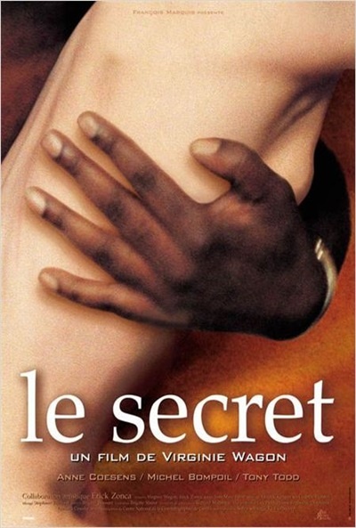 Póster de El secreto