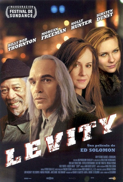 Póster de Levity