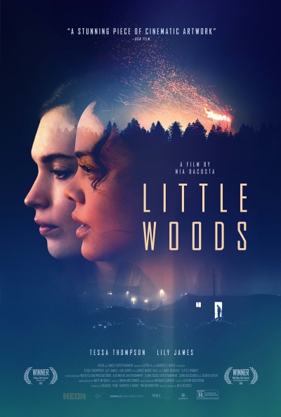 Póster de Little Woods