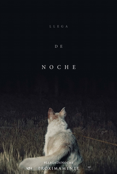 Póster de Llega de noche