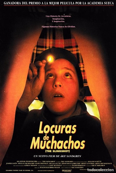 Póster de Locuras de muchachos