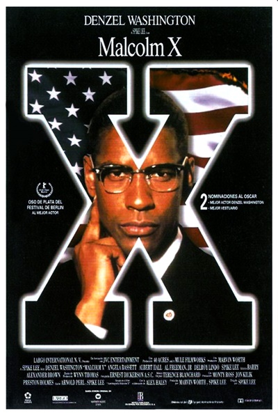 Póster de Malcolm X