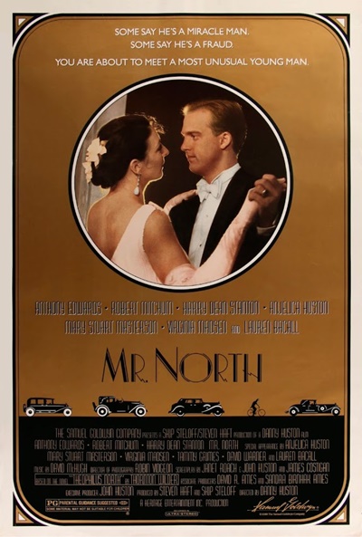 Póster de Mr. North