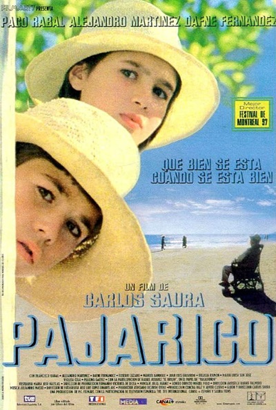 Póster de Pajarico