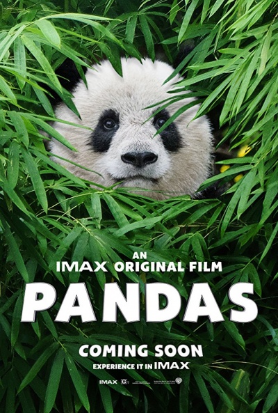 Póster de Pandas