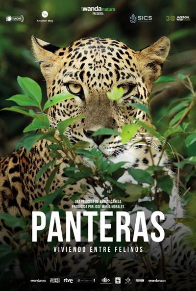 Póster de Panteras