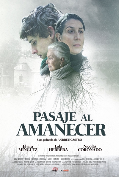 Póster de Pasaje al amanecer