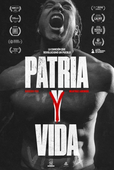 Póster de Patria y vida