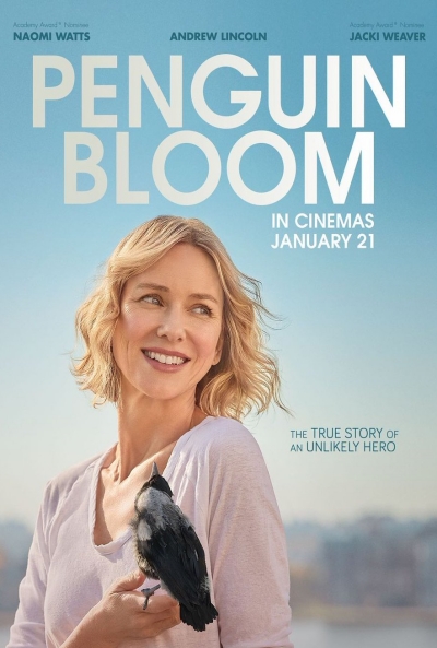 Póster de La familia Bloom