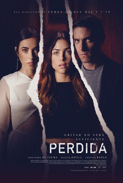 Póster de Perdida