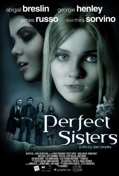 Póster de Perfect Sisters