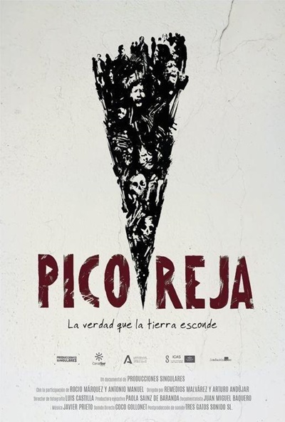 Póster de Pico Reja, la verdad que la tierra esconde