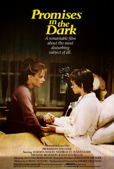 Póster de Promises in the Dark